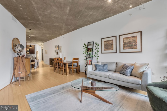 living room featuring hardwood / wood-style floors