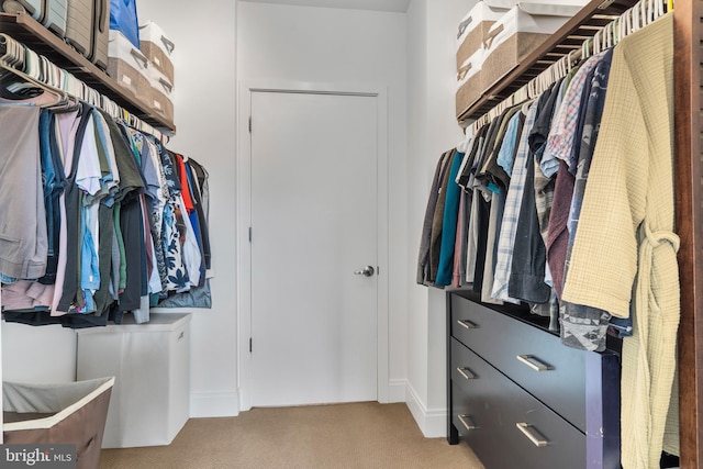 spacious closet featuring light carpet