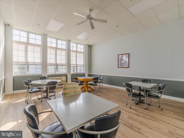 dining area featuring a wealth of natural light, a paneled ceiling, and light wood-type flooring