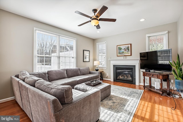 living area featuring baseboards, wood finished floors, and a healthy amount of sunlight