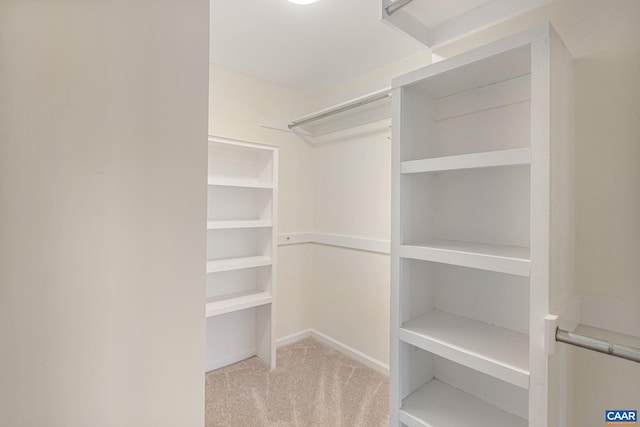 walk in closet with light colored carpet