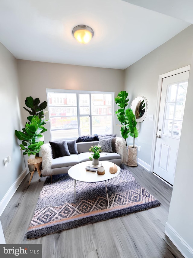 living room featuring hardwood / wood-style floors