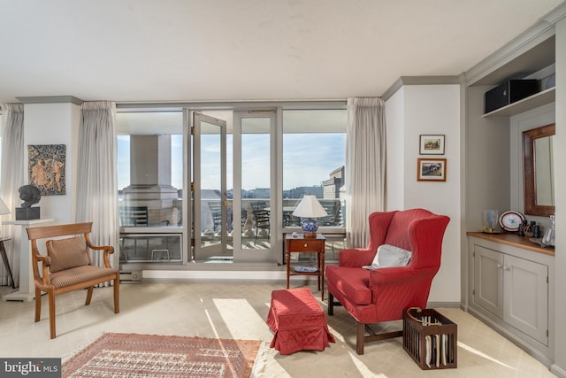 sitting room with light carpet