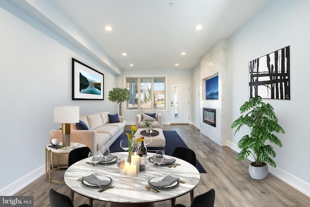 living room featuring a fireplace and light hardwood / wood-style flooring