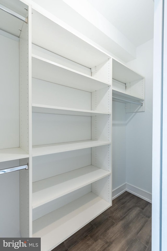 walk in closet featuring dark wood-type flooring