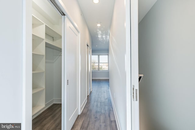 hall featuring dark hardwood / wood-style flooring