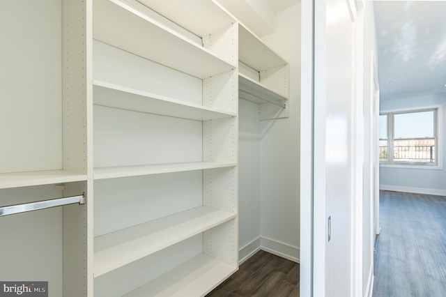 walk in closet with dark wood-type flooring