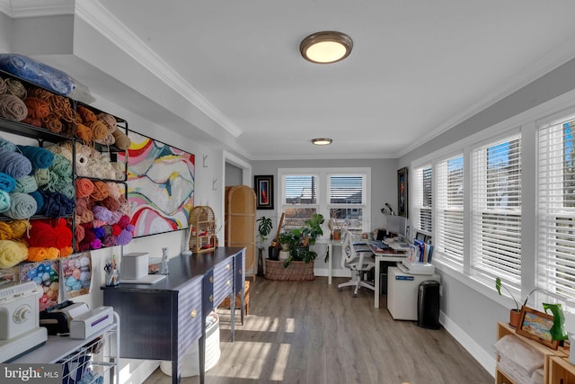 office featuring crown molding and light hardwood / wood-style flooring