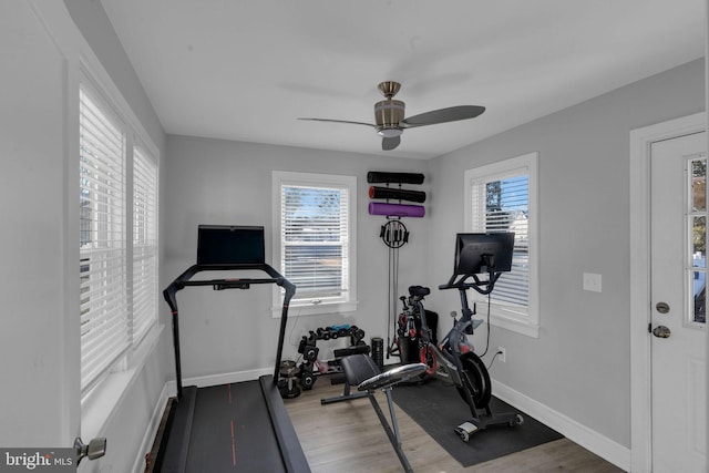 workout area featuring hardwood / wood-style flooring, a healthy amount of sunlight, and ceiling fan