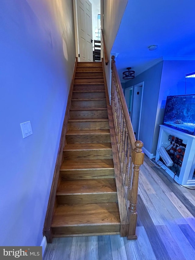 staircase featuring hardwood / wood-style floors