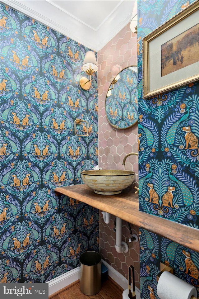 bathroom featuring ornamental molding and sink