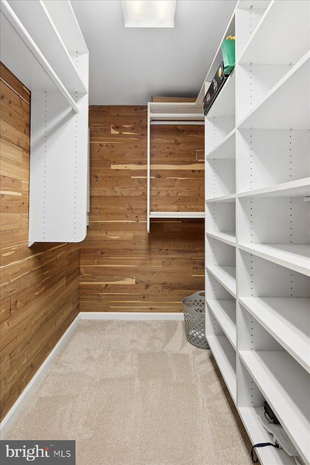 spacious closet featuring carpet