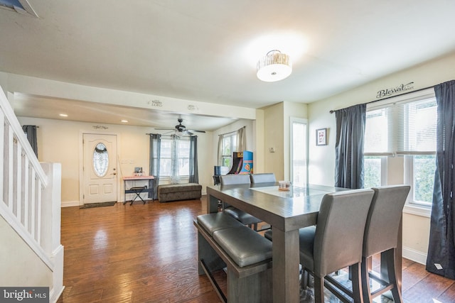 dining room featuring ceiling fan and dark hardwood / wood-style flooring