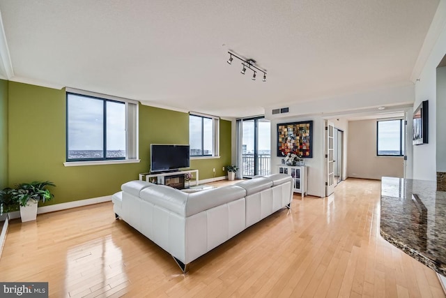 living room with ornamental molding and light hardwood / wood-style flooring