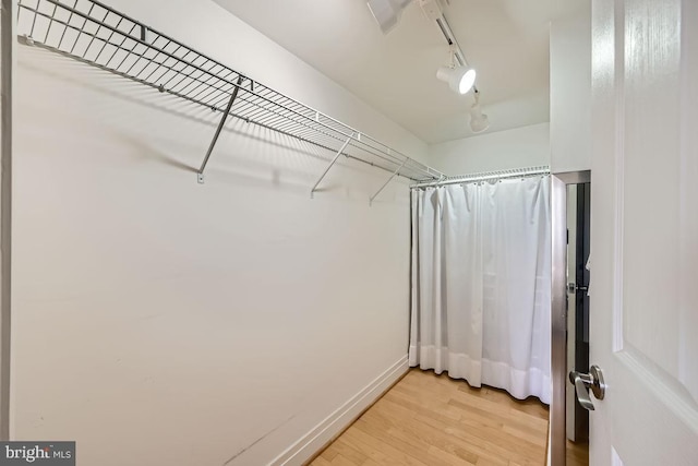 walk in closet with wood-type flooring