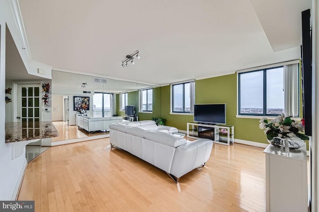 living room featuring light hardwood / wood-style flooring and rail lighting