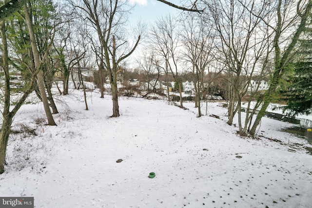 view of snowy yard