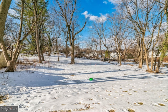 view of yard covered in snow