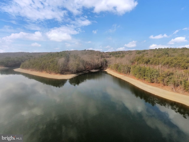 property view of water