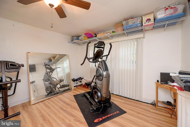 workout room featuring a ceiling fan and wood finished floors