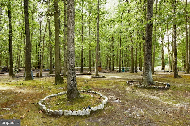 view of property's community featuring a view of trees