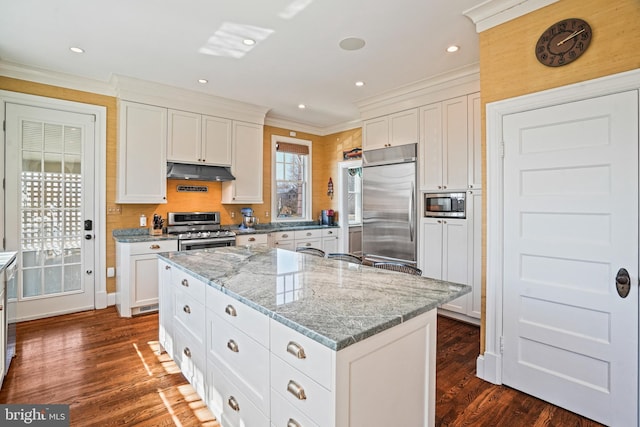 kitchen with dark wood finished floors, under cabinet range hood, built in appliances, crown molding, and a center island