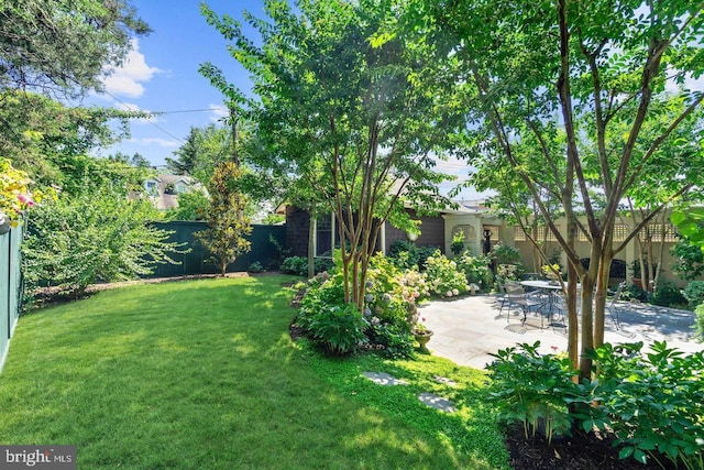 view of yard featuring a fenced backyard and a patio area