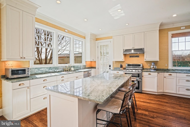 kitchen with ornamental molding, under cabinet range hood, a sink, stainless steel appliances, and dark wood-style flooring