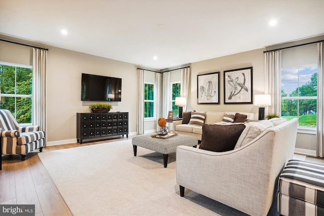 living room with a wealth of natural light and light hardwood / wood-style flooring