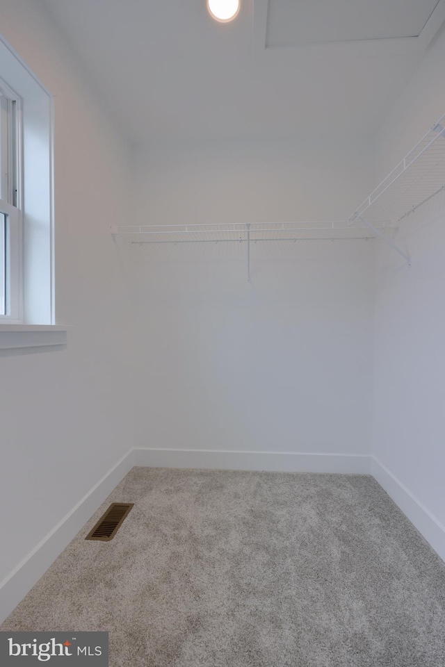 walk in closet with carpet