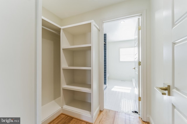 walk in closet with light wood-type flooring