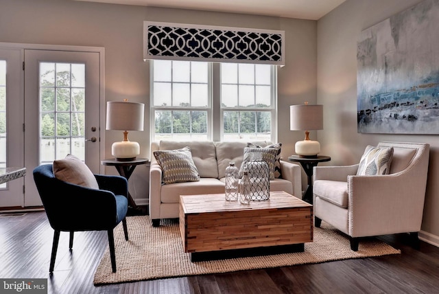 living area featuring a healthy amount of sunlight and wood finished floors