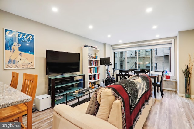 living room with light wood-type flooring