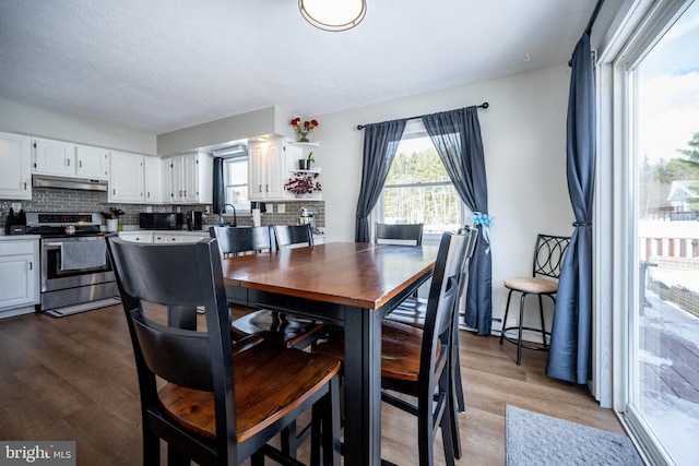 dining room with plenty of natural light, sink, and hardwood / wood-style floors