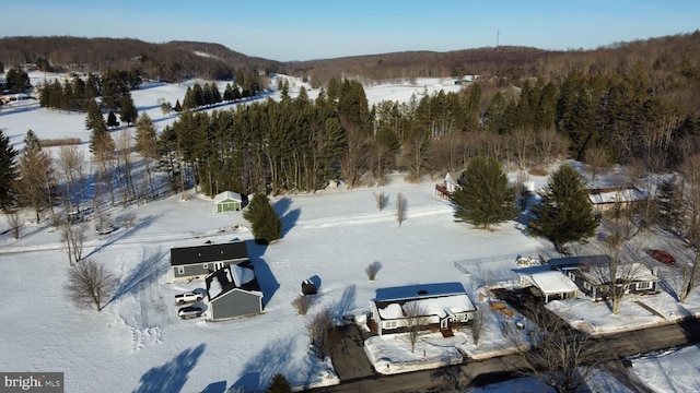 view of snowy aerial view