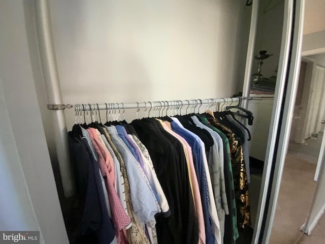 view of closet