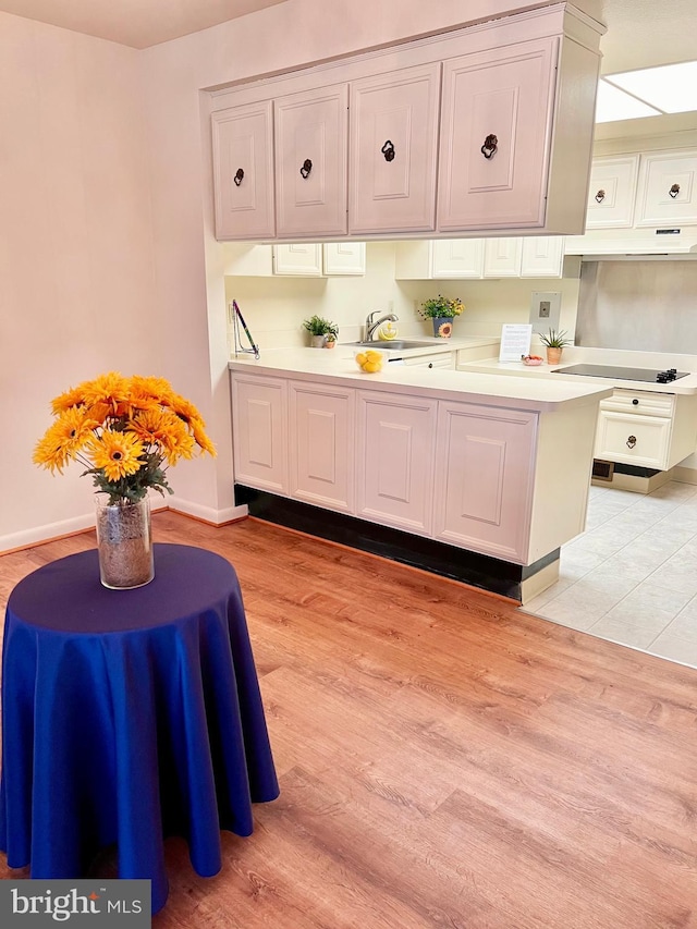 kitchen with black electric cooktop, white cabinetry, light countertops, and a sink