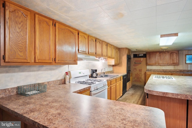 kitchen with sink, light wood-type flooring, and black appliances