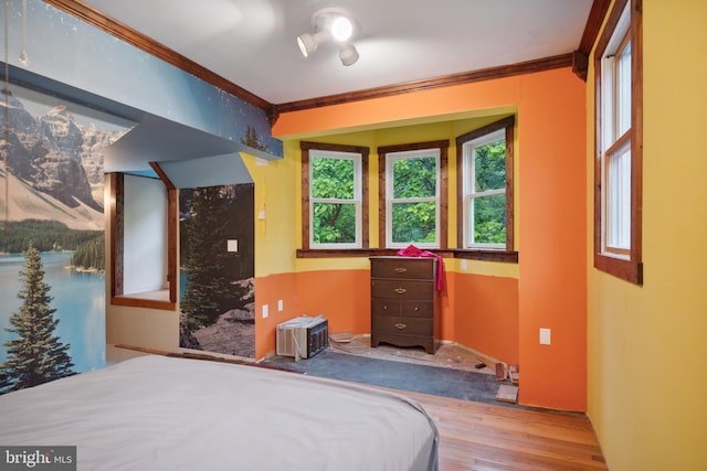 bedroom featuring hardwood / wood-style flooring and crown molding