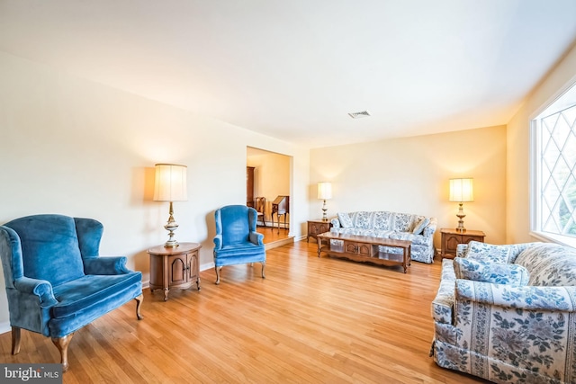 living room featuring wood-type flooring