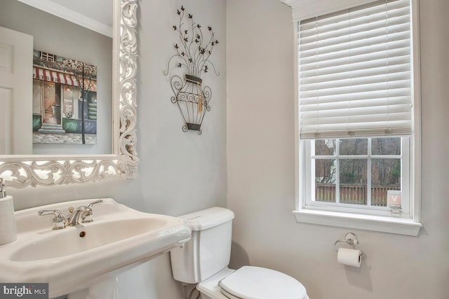 bathroom featuring sink and toilet