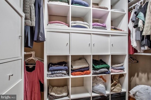 view of spacious closet