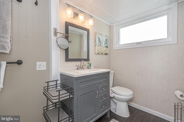 bathroom featuring wood-type flooring, toilet, and vanity