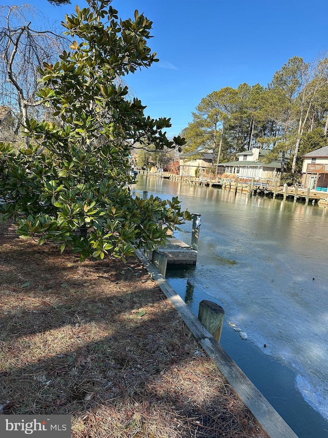 dock area with a water view