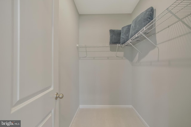 spacious closet featuring carpet floors