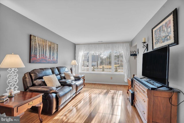 living room featuring light hardwood / wood-style floors