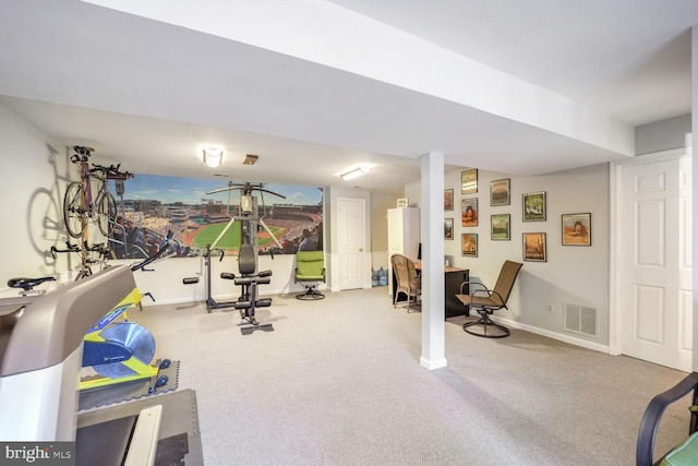 workout area featuring carpet