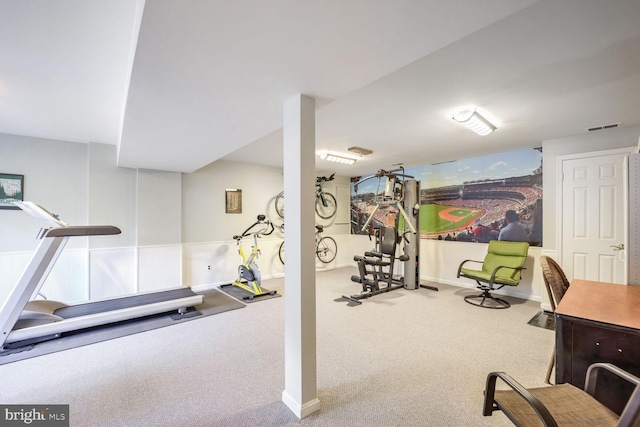 workout room with carpet floors