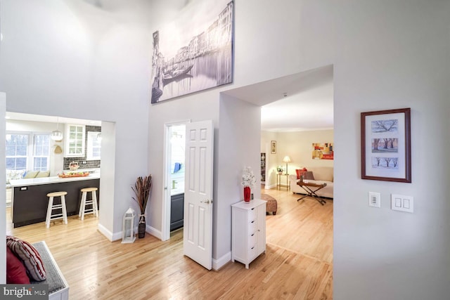 foyer entrance with wood-type flooring