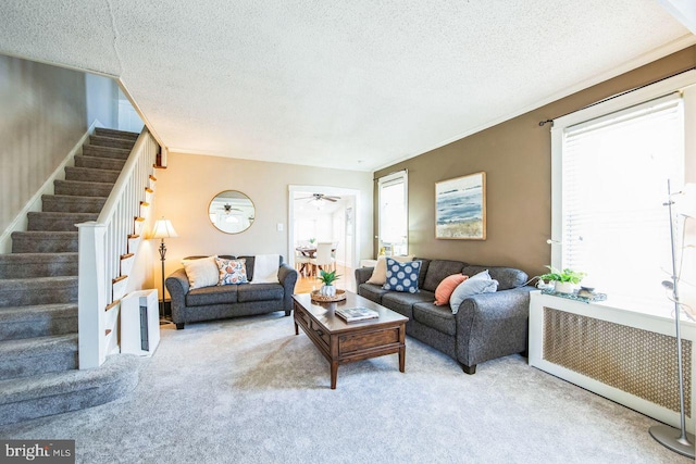 living room featuring crown molding, a textured ceiling, radiator heating unit, carpet flooring, and ceiling fan